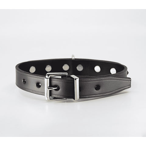 Love In Leather BDSM Collar With Short Dog Spikes - Collars and Leads