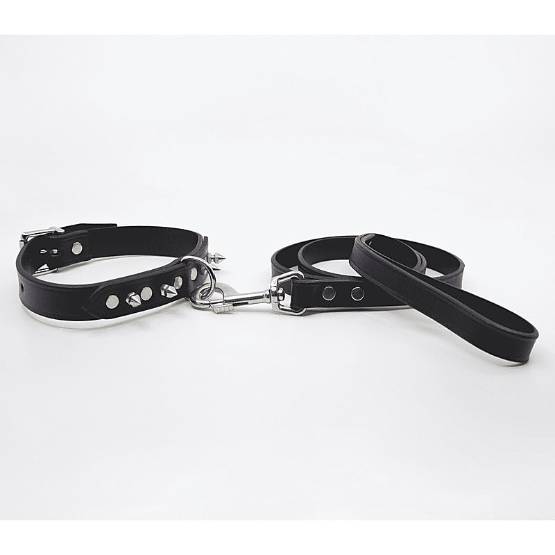 Love In Leather BDSM Collar With Short Dog Spikes - Collars and Leads
