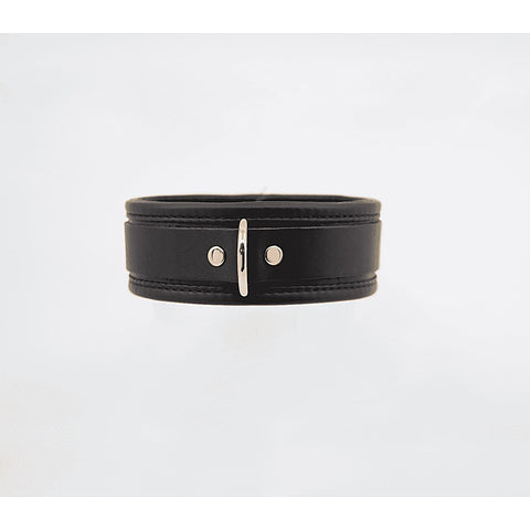 Love In Leather Fetish Collar with Coloured Hardware - Collars and Leads