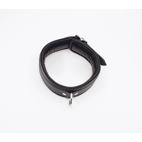 Love In Leather Fetish Collar with Coloured Hardware - Collars and Leads