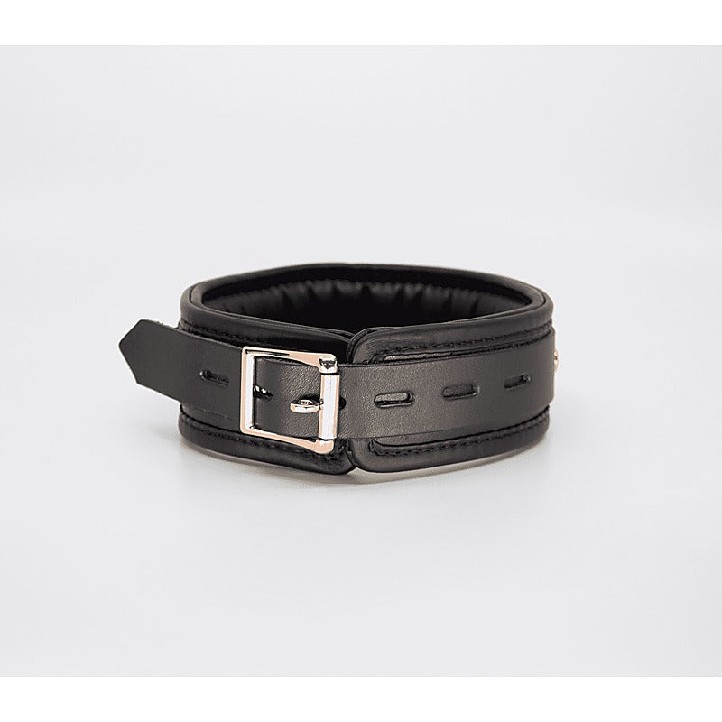 Love In Leather Fetish Collar with Coloured Hardware - Collars and Leads
