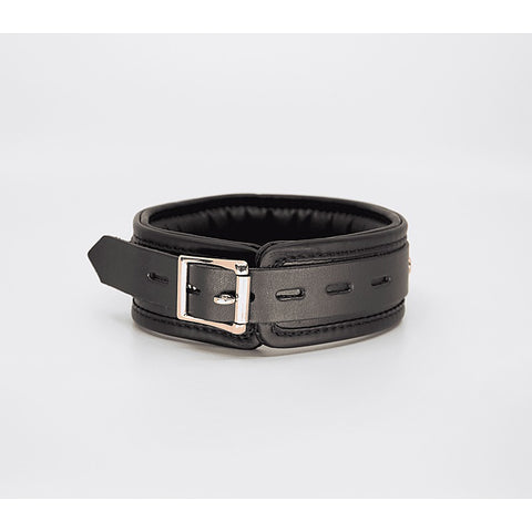 Love In Leather Fetish Collar with Coloured Hardware - Collars and Leads