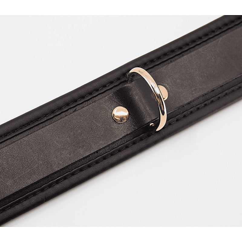 Love In Leather Fetish Collar with Coloured Hardware - Collars and Leads