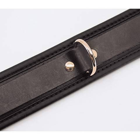 Love In Leather Fetish Collar with Coloured Hardware - Collars and Leads