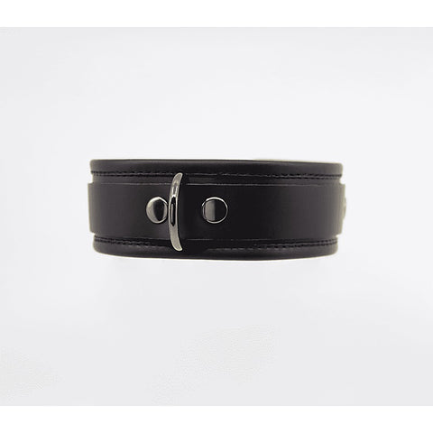 Love In Leather Fetish Collar with Coloured Hardware - Collars and Leads