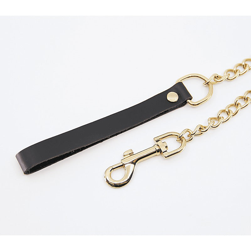 Love In Leather BDSM Chain Lead With Coloured Hardware - Collars and Leads