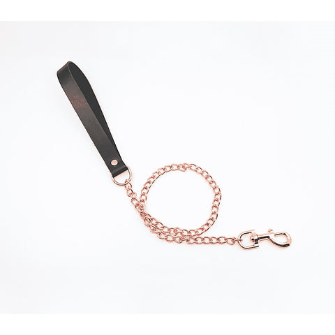 Love In Leather BDSM Chain Lead With Coloured Hardware - Collars and Leads