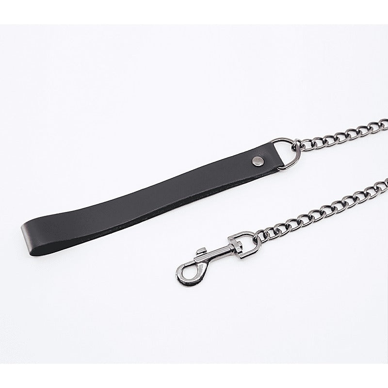 Love In Leather BDSM Chain Lead With Coloured Hardware - Collars and Leads