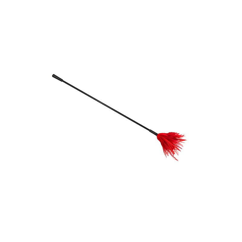 Bdsm Crop With Feather Tickler By Love In Leather - Whips And Crops