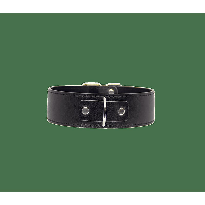 Berlin Baby BDSM Play Unlined PU Collar and Lead - Collars and Leads