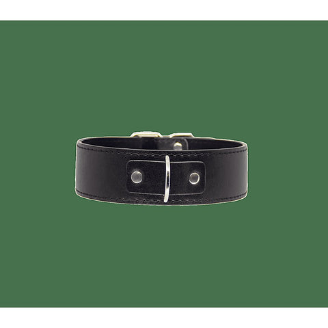 Berlin Baby BDSM Play Unlined PU Collar and Lead - Collars and Leads