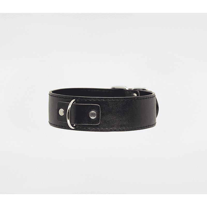 Berlin Baby BDSM Play Unlined PU Collar and Lead - Collars and Leads