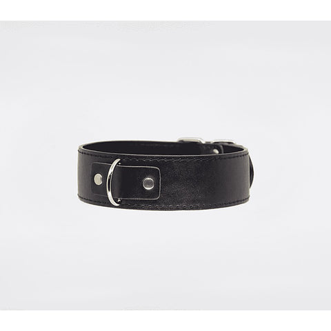 Berlin Baby BDSM Play Unlined PU Collar and Lead - Collars and Leads