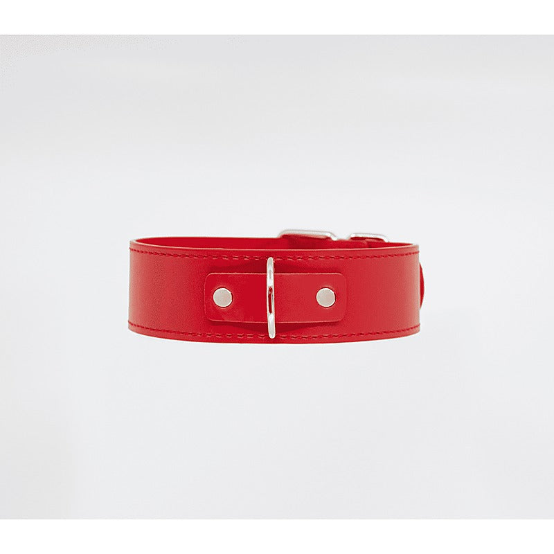 Berlin Baby BDSM Play Unlined PU Collar and Lead - Collars and Leads