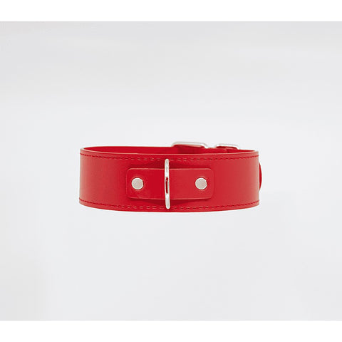 Berlin Baby BDSM Play Unlined PU Collar and Lead - Collars and Leads