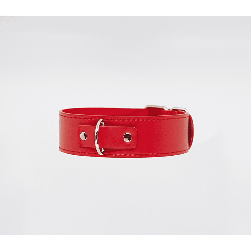 Berlin Baby BDSM Play Unlined PU Collar and Lead - Collars and Leads