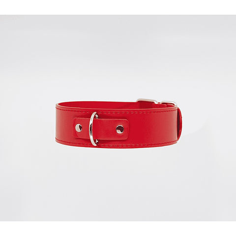 Berlin Baby BDSM Play Unlined PU Collar and Lead - Collars and Leads