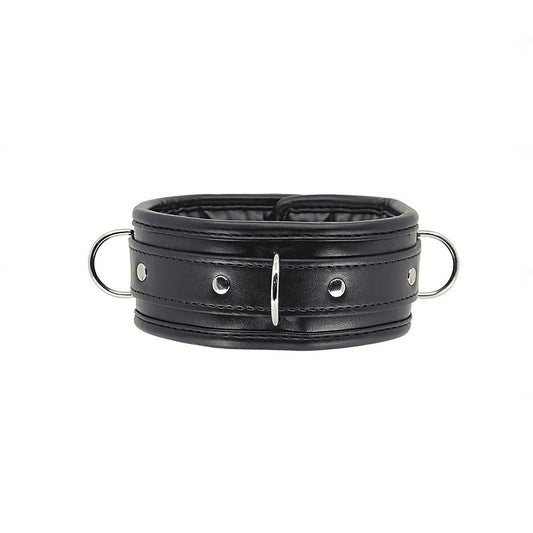 Berlin Baby Padded BDSM Collar With Lockable Buckle - Collars and Leads