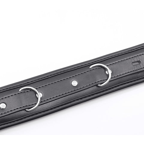 Berlin Baby Padded BDSM Collar With Lockable Buckle - Collars and Leads