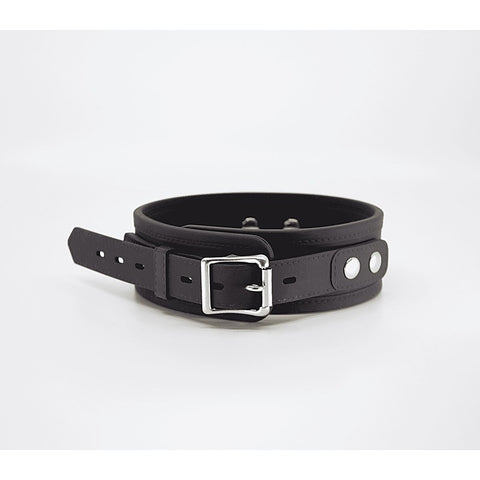 Love In Leather Premium Silicone Collar & Lead Set - Collars and Leads