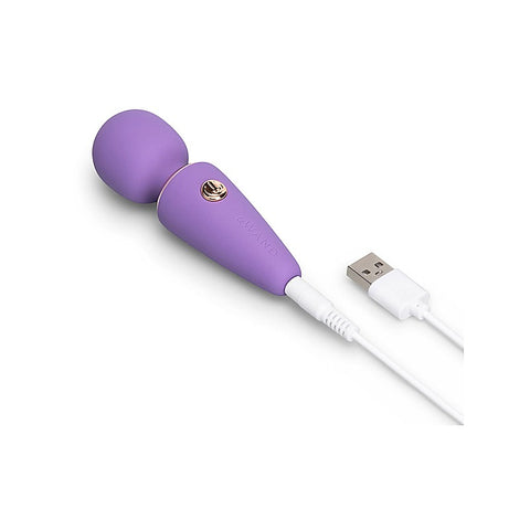 Mini Micro Wand Massager By Le Wand - Body Wands