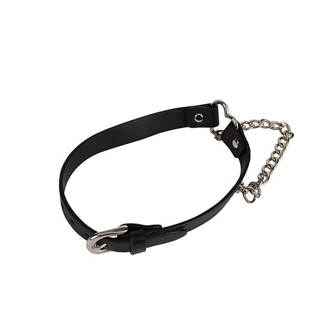Heart Collar with a Chain by Chisa - Collars and Leads