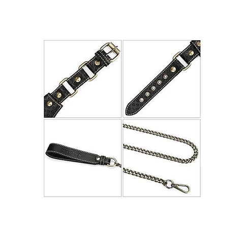 Rebellion Reign Bondage Collar And Leash By Lovetoy - Collars and Leads