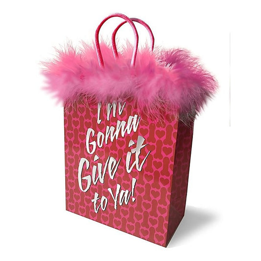 Im Gonna Give it To Ya! Gift Bag - Bachelorette and Bucks