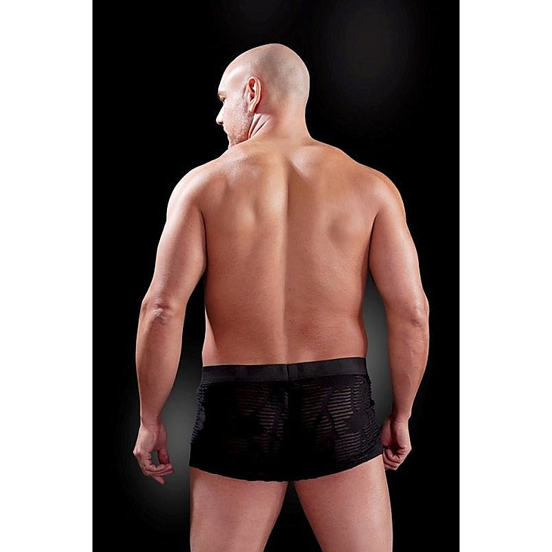 Fetish Fantasy Men'S Fetish Play See-Thru Sexy Boxer - Mens Briefs And Boxers
