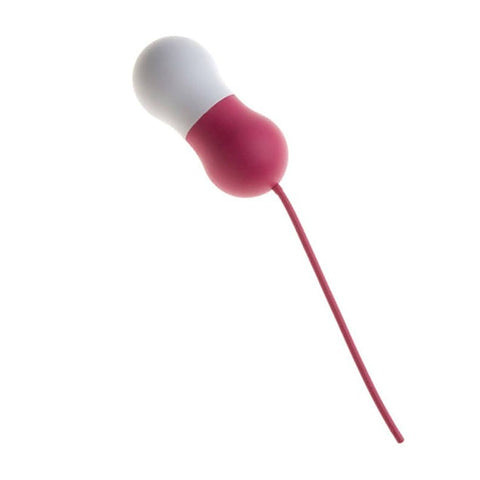 Premium Quality Emigi Pelvic Health System By Sin Five - Love Eggs and Kegel Exercisers