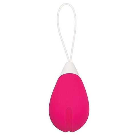 Evolved Remote Control Egg - Remote Control Vibrators