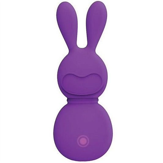FemmeFunn Bunny Massager - Rabbit Vibrators