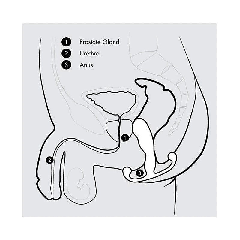 Progasm Classic by Aneros - Prostate Toys
