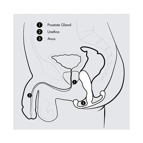 Progasm Classic by Aneros - Prostate Toys