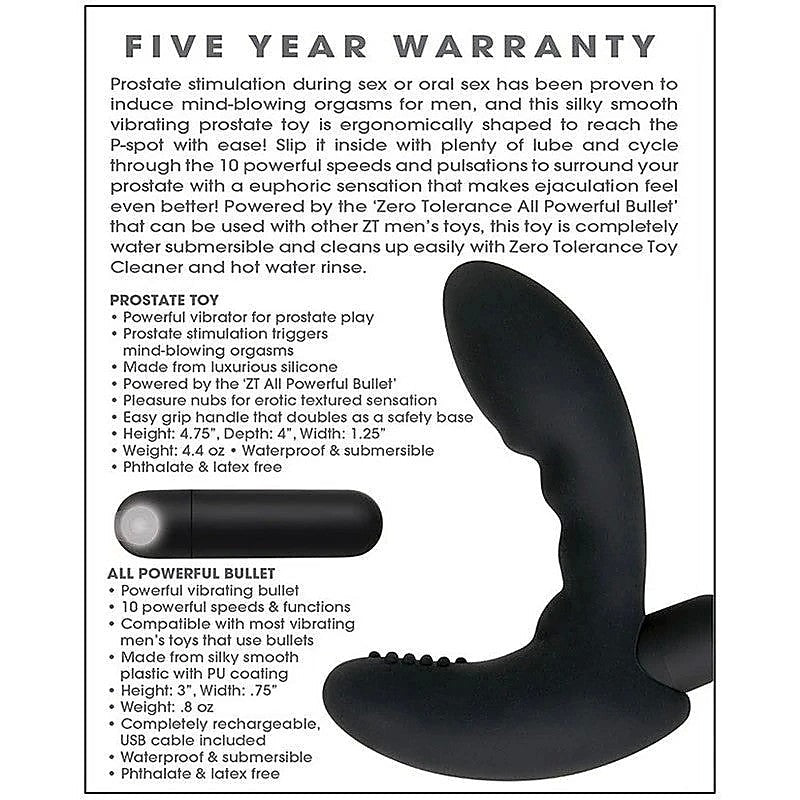 Zero Tolerance Eternal Prostate Massager By Evolved - Prostate Toys