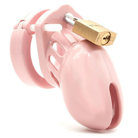 CB-6000s Chastity Cock Cage Kit by A L Enterprises - Male Chastity