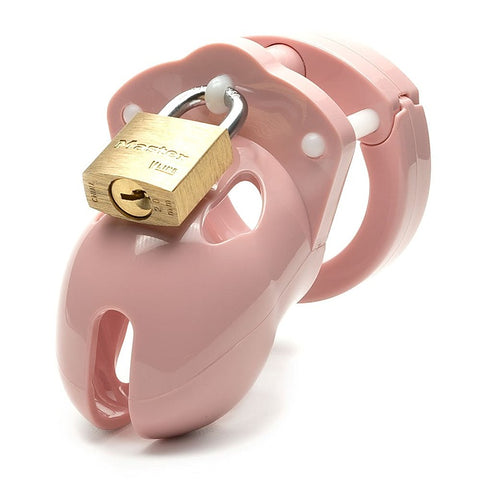 Mr. Stubb Chastity Cock Cage Kit by A L Enterprises - Male Chastity