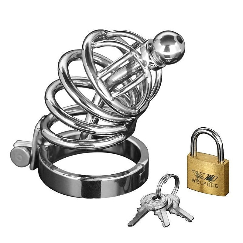 Asylum 4 Ring Locking Chastity Cage By Xr Brands - Male Chastity