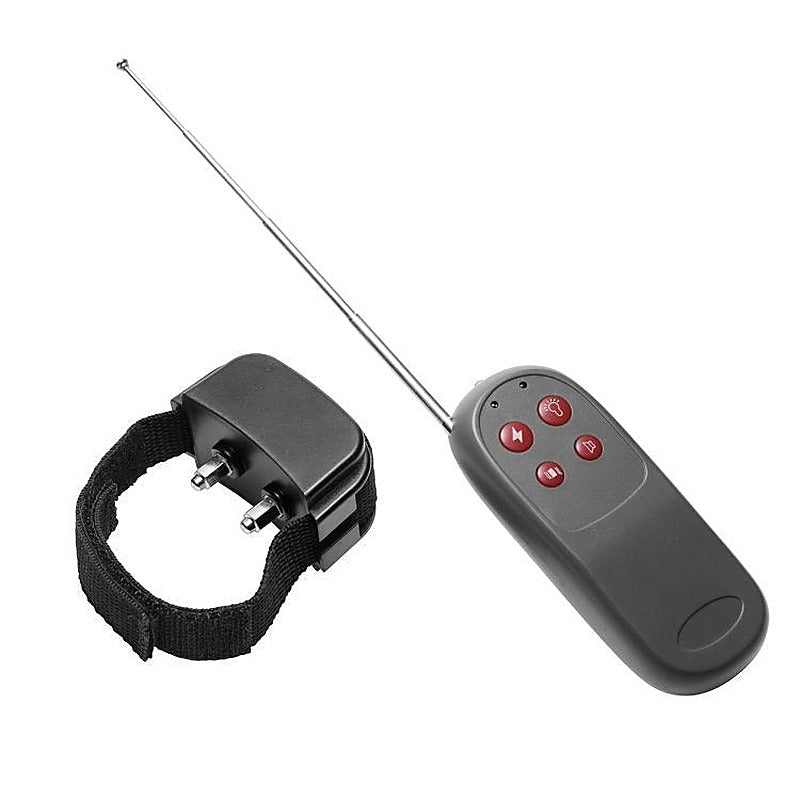 Cock Shock Remote Cbt Electric Cock Ring By Xr Brands - Cock Rings