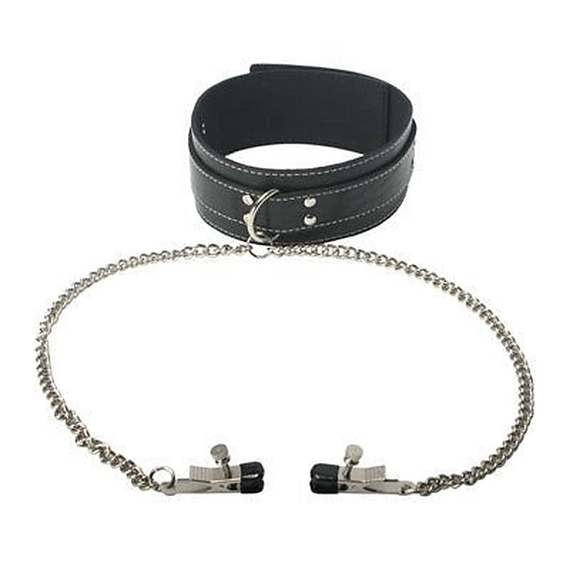 Coveted Collar And Clamp Union by XR Brands - Collars and Leads