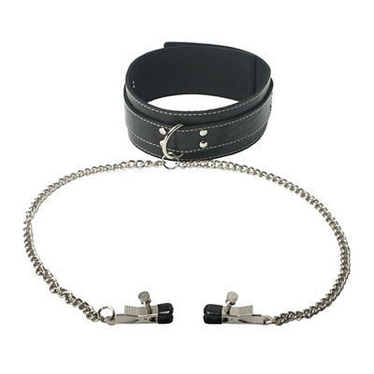 Coveted Collar And Clamp Union - Collars and Leads
