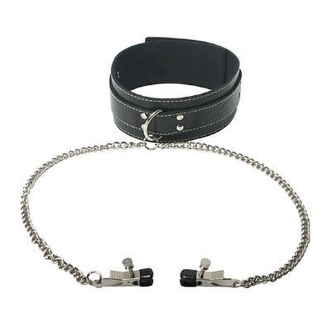 Coveted Collar And Clamp Union by XR Brands - Collars and Leads