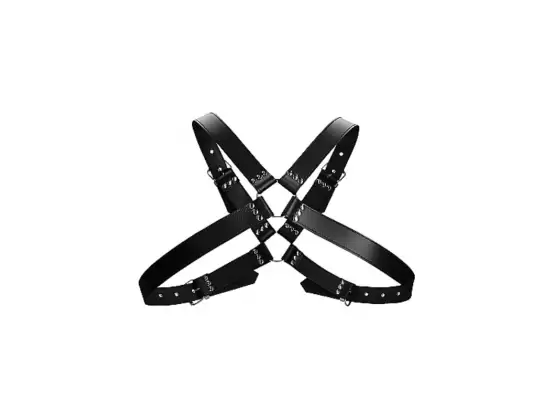 Mens Large Buckle Harness - One Size - Black | Shots Toys